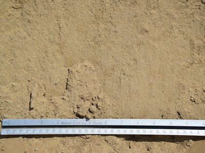 Screened Fill